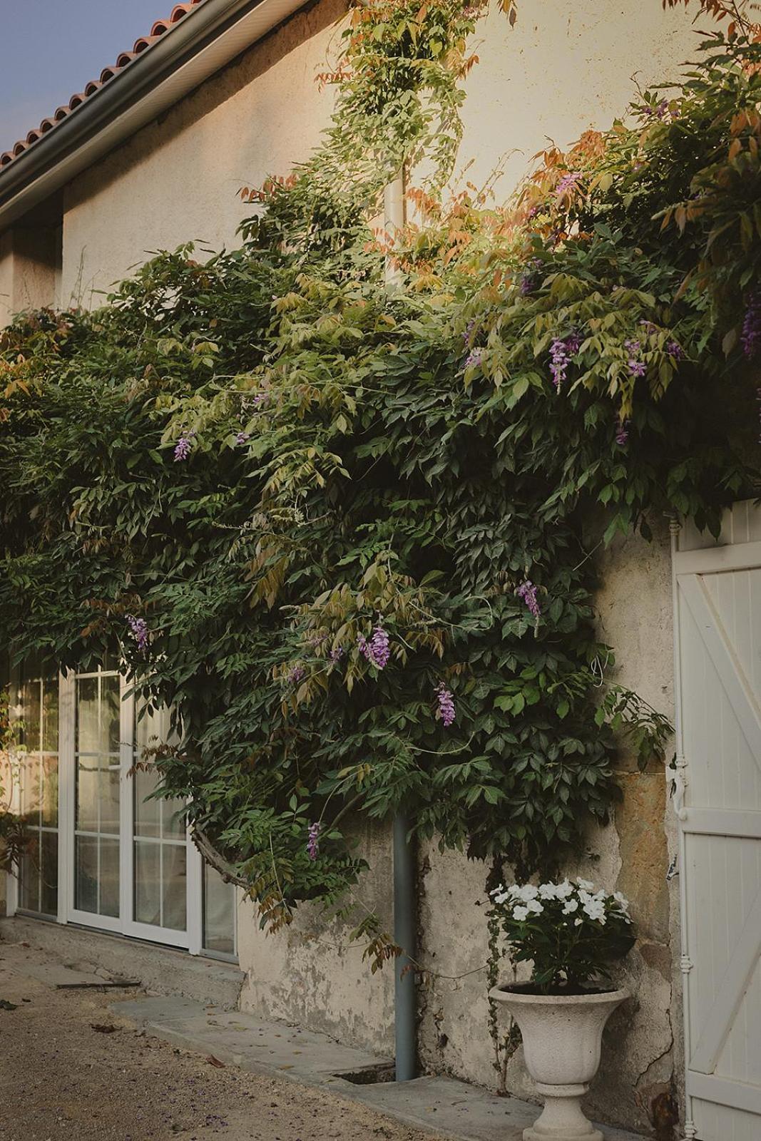 Domaine De Bassibe Bed and Breakfast Ségos Eksteriør billede
